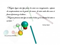/album/frase/frase-richar-bach-jpg/
